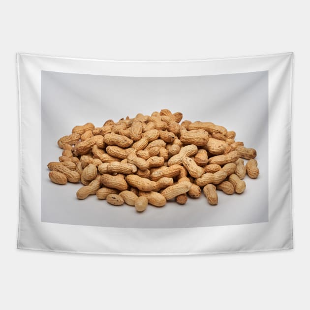 Dried peanuts on white background Tapestry by naturalis