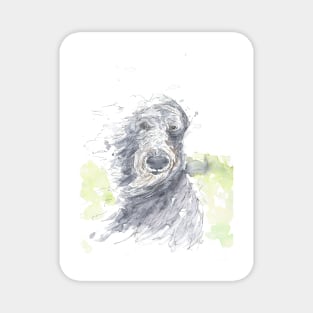 Scottish Deerhound Caught in the Wind! Magnet