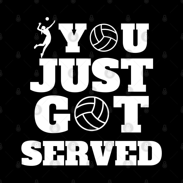 You Just Got Served Volleyball by EACreaTeeve