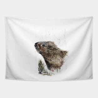 Watervole Tapestry