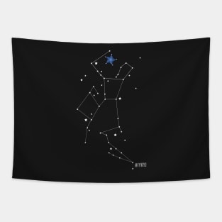 Joe Mac Constellation Jacket Print Tapestry