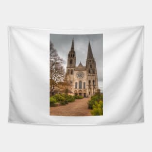 Chartres Cathedral Tapestry