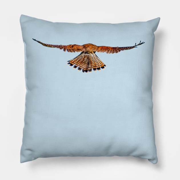 Rear view of a hovering Kestrel Pillow by dalyndigaital2@gmail.com