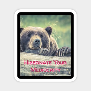 Hibernate Your Mediocrity Magnet