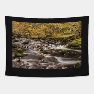 Brathay Ripples Tapestry