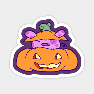 Halloween Pumpkin Pig Magnet