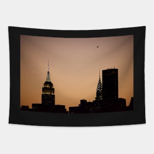 Vol sur Manhattan Tapestry