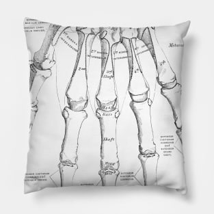 Antique Anatomy Papers Neck Gator Hand Anatomy Pillow