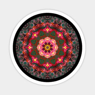 Mandala Magic - Daily Focus 3.12.2023 Magnet