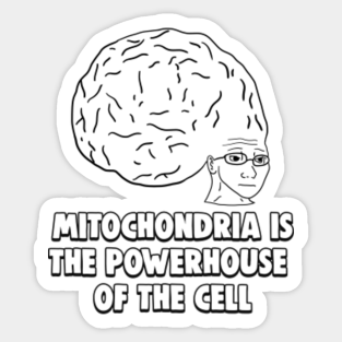 Homer Simpson Brain Meme Donuts Neuroimaging Brain Food Text Png Pngegg