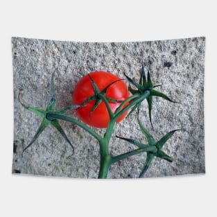 Ripe Red Tomato and Stems Tapestry