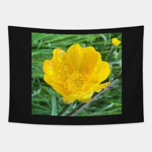 Truthful Yellow ButterCup in the Rain Tapestry