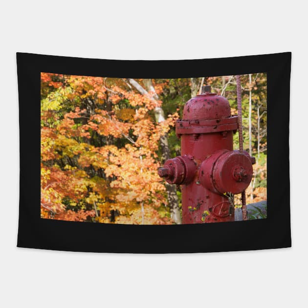 fire hydrant Tapestry by sma1050