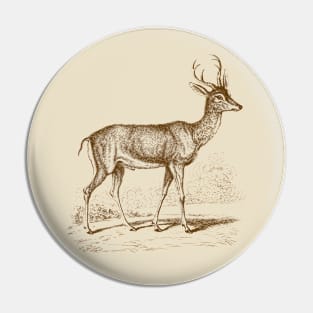 Roe Deer Vintage Wildlife Illustration Pin