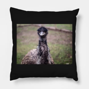 Emu Pillow