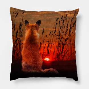 Red Fox watching the Sunset Pillow
