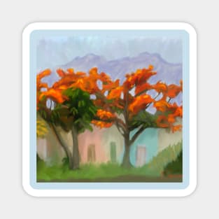 Flamboyan trees with bright red orange blooms Magnet