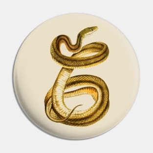 serpent,cobra,reptile,viper,venom,lizard,rattlesnake,king cobra,dragon,hydra,poison,venomous,plumber's snake,pythonidae,pythons,auger,python,squamata,serpentine,worm,big,ophidian,rattlesnakes,medusa,snakebite Pin