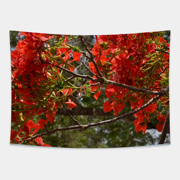 Flamboyant Tapestry by LibrosBOOKtique