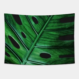 Monstera Exotic Green Leaf Tapestry