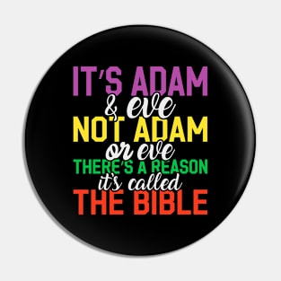 Bisexual pride There'sa Reason it's called the Bible Pin