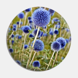 Blue Wild Thistles Pin