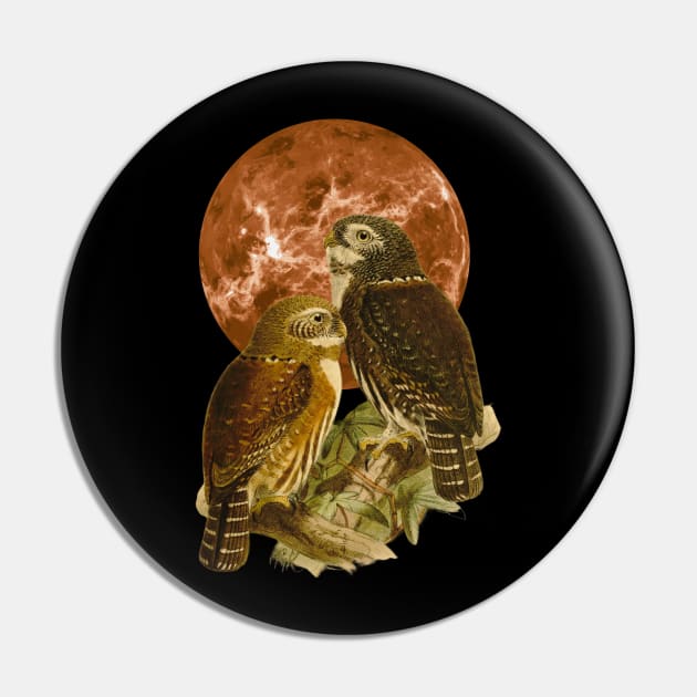 Full Moon Owls Pin by Orange Pyramid