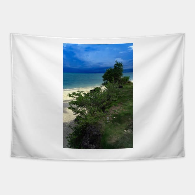 Apparel, home, tech and travel design Tapestry by likbatonboot
