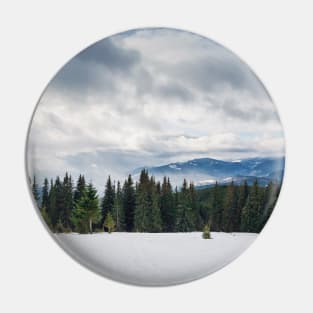 Fir forest on the snowy hills Pin