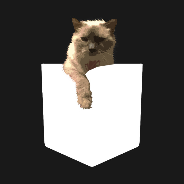 Disover Pocket Cat - Cat - T-Shirt