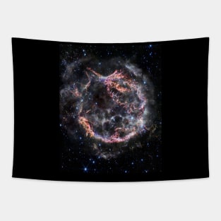 Cassiopeia A Tapestry