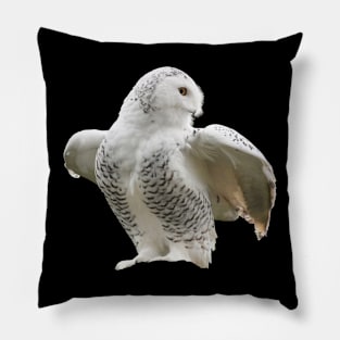 Snow owl Pillow