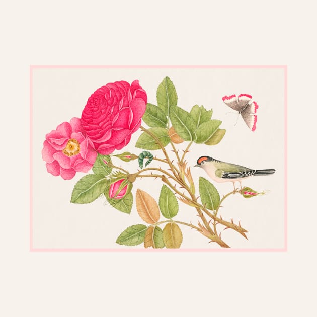 Red Headed Bird on Rose Branch (18th Century) by WAITE-SMITH VINTAGE ART