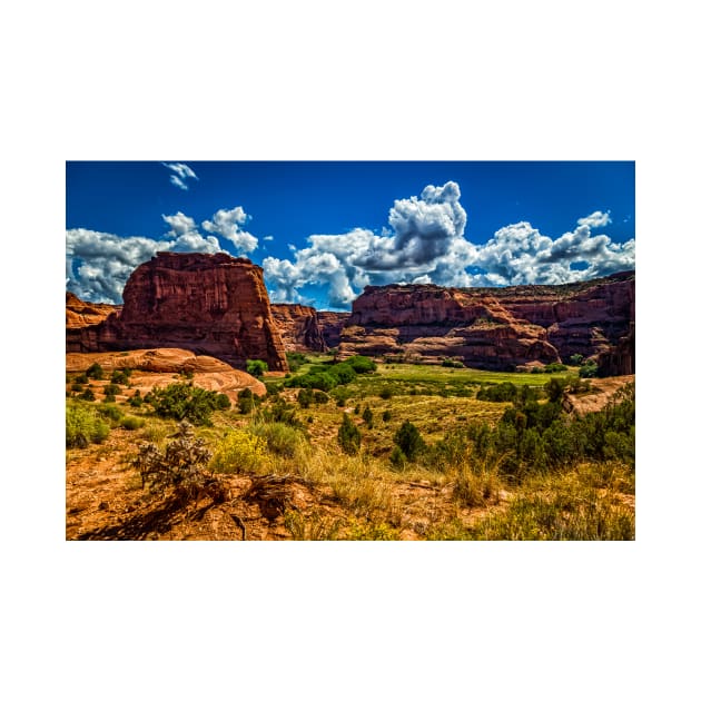 Canyon de Chelly National Monument by Gestalt Imagery