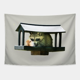 Raccoon Tapestry