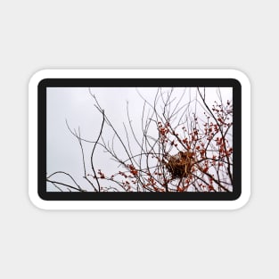 Nest in Red Berry Tree Magnet