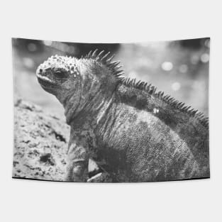 Marine Iguana Tapestry