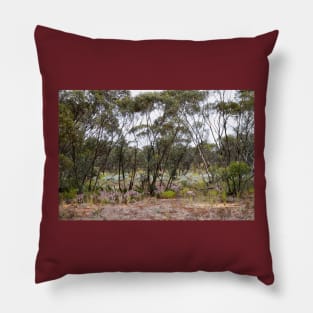 Mallee Scrub at Mungo with Mulla Mulla Pillow