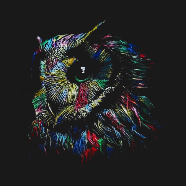 Colorful Owl by SKornackiArt