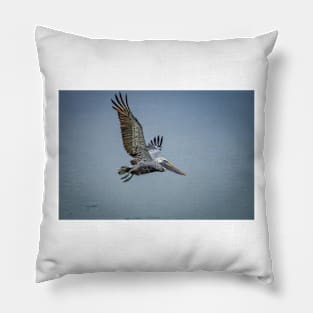 Pelican Passing Pillow