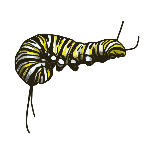 Monarch Caterpillar by shehitsback