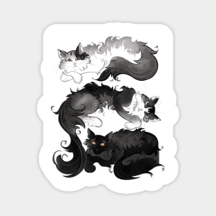 CATS Magnet