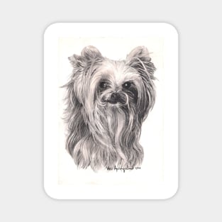 Yorkshire Terrier Magnet