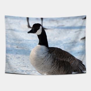 Canada Goose Standing On The Snow Tapestry