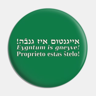 Proprieto Estas Ŝtelo (Jida/Esperanta) Pin