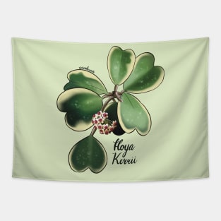 Hoya Kerrii in bloom Tapestry