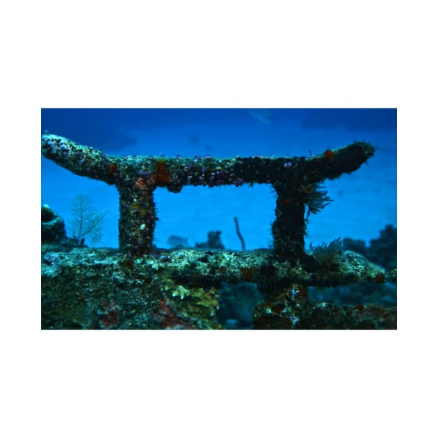 Coral Wreck Mooring by Scubagirlamy