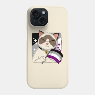 Cute Ragdoll Cat Holding Asexual Pride Flag Phone Case