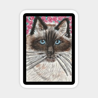 Siamese cat face watercolor painting Magnet