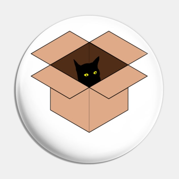 Cat in the Box Pin by Nahlaborne